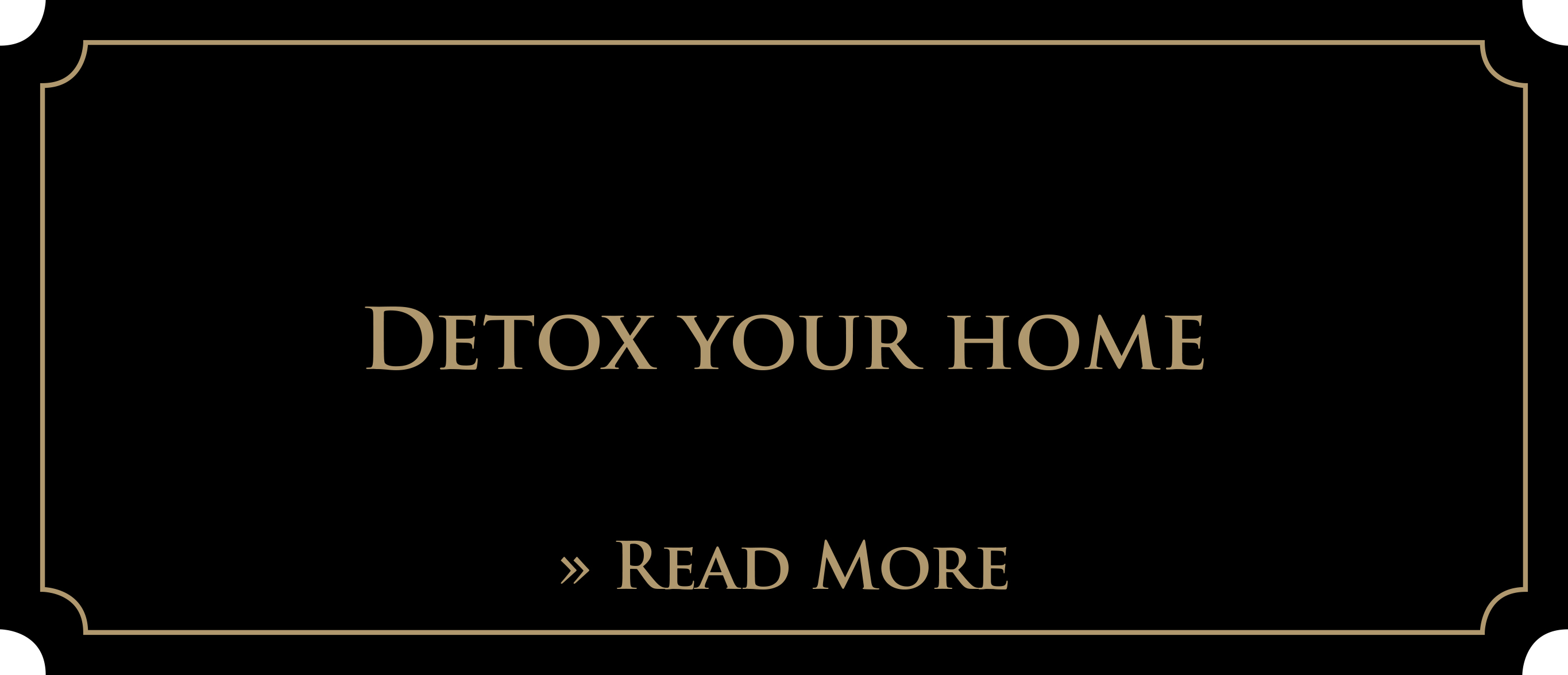 SNH_VIP_programs Detox Your Home